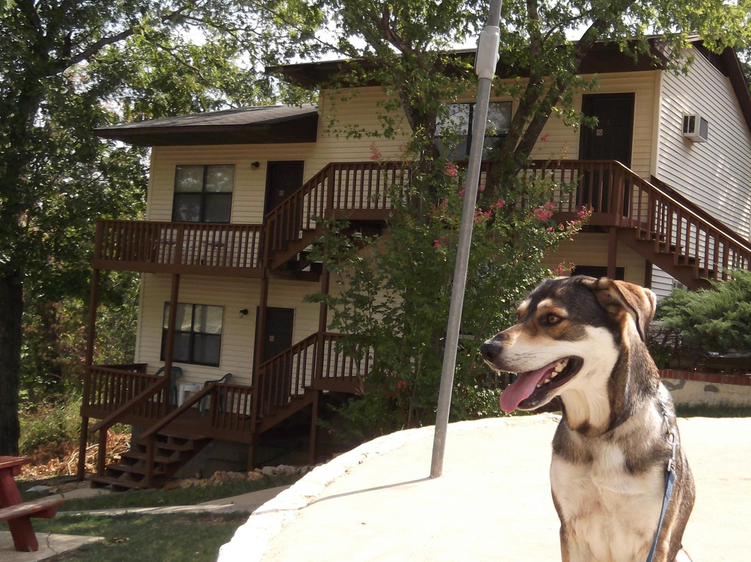 Boondocks Bull Shoals Lake Resort主图