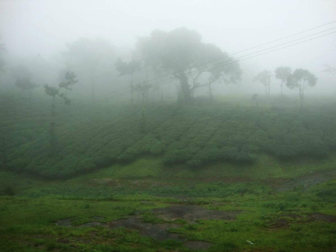 Nelliyampathy Guha-Nelliyampathy必去景点