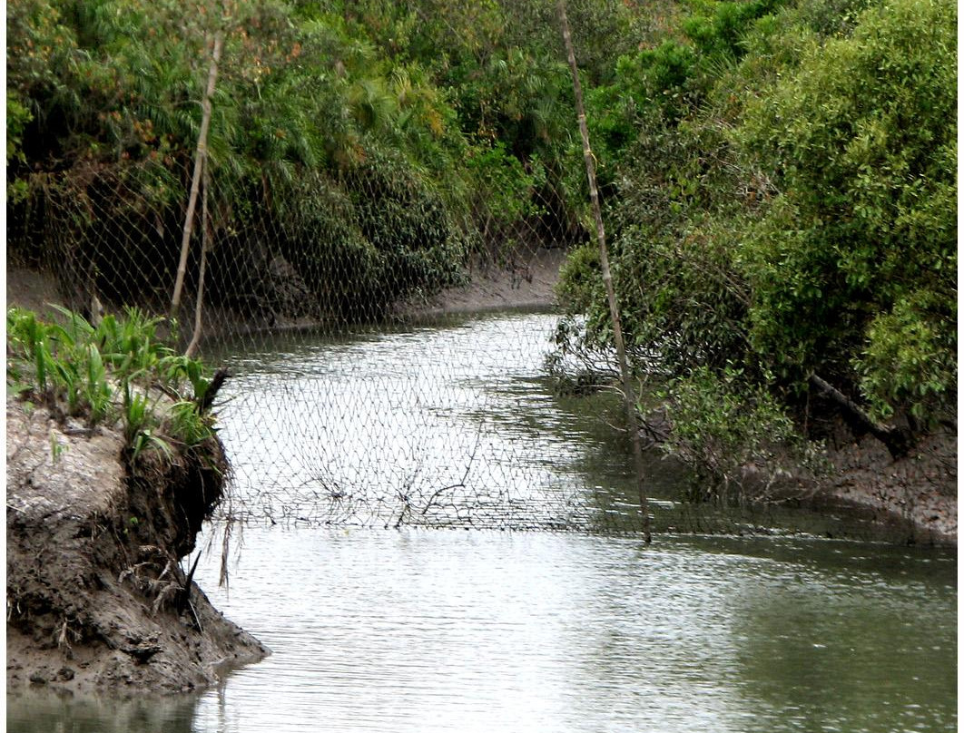 tour2sundarban-Canning必去景点