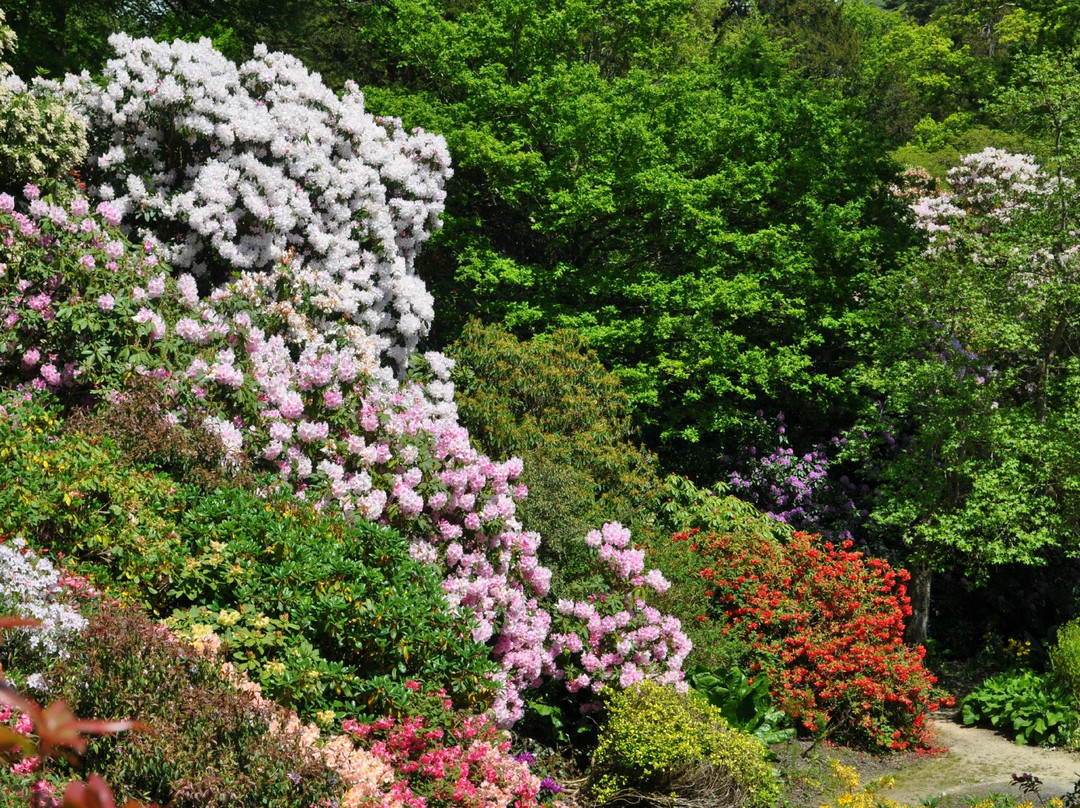 Minterne Gardens景点图片