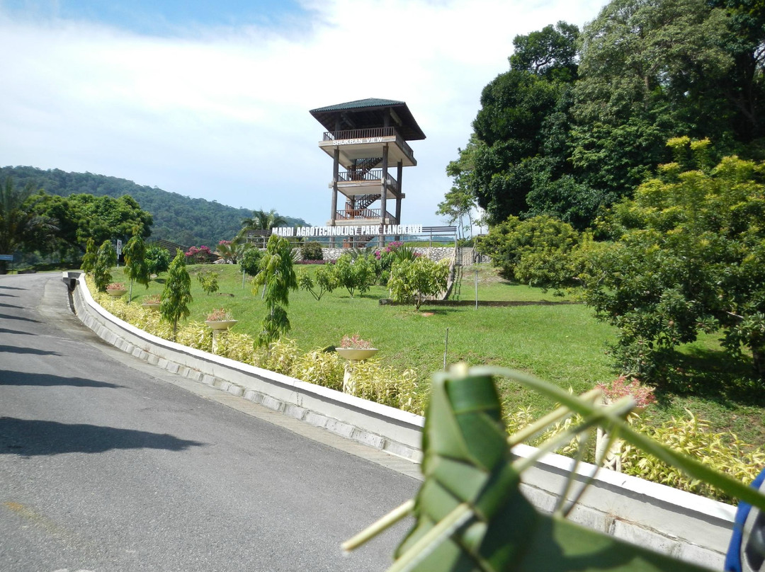 MARDI Langkawi Agro Technology Park景点图片