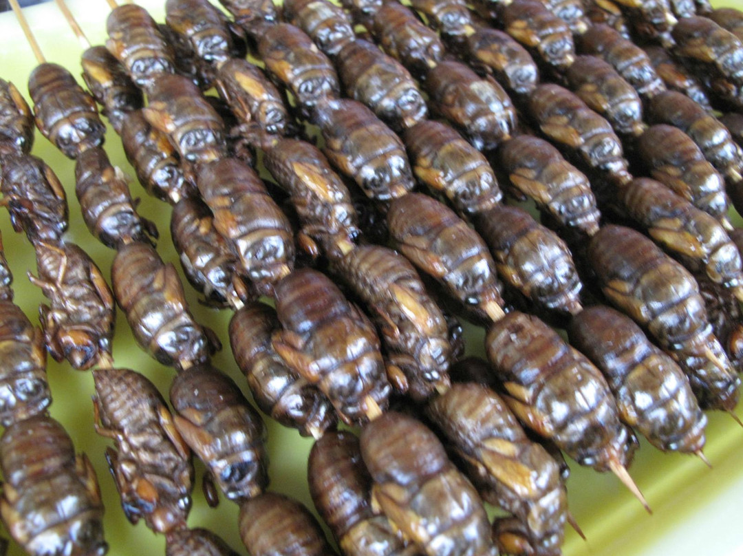 北京丽晶酒店主图