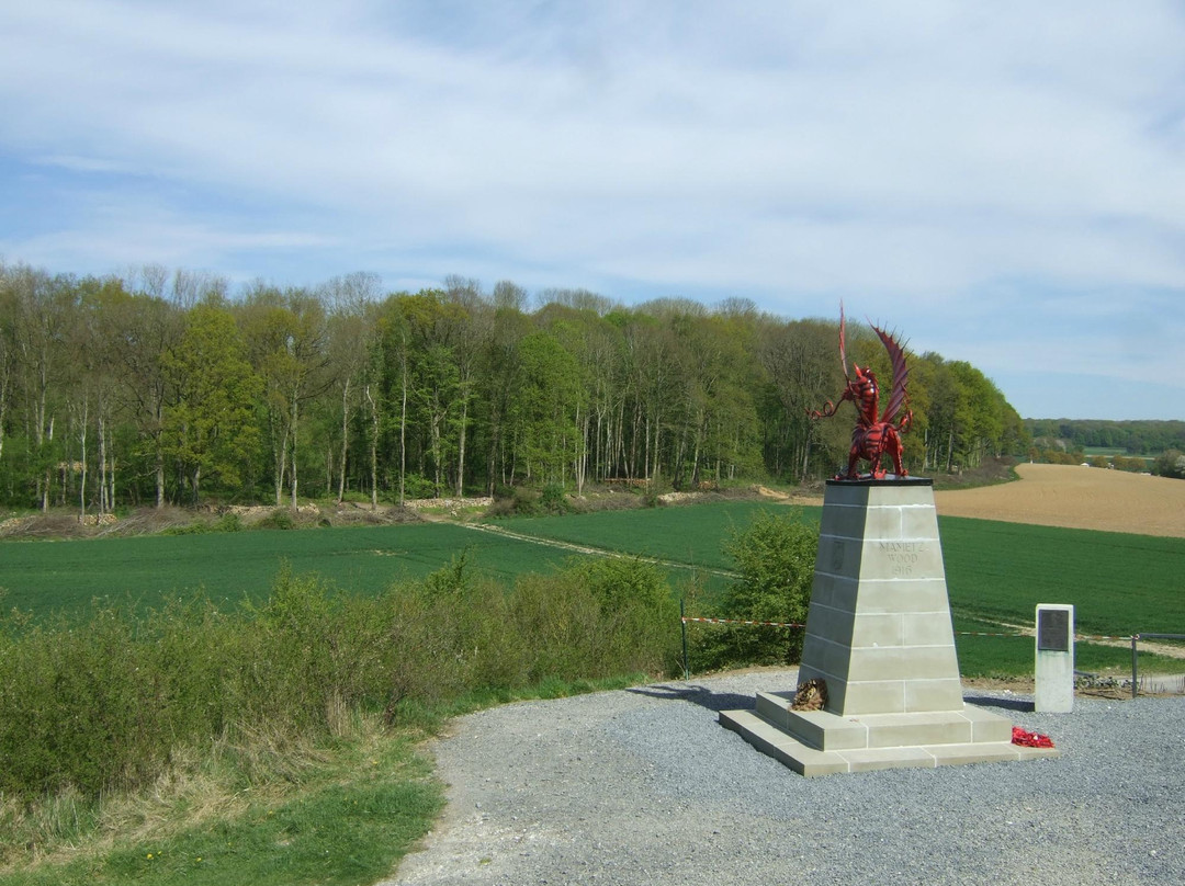 Mametz War Memorial景点图片