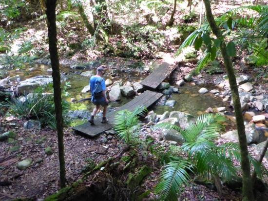 Waterfall Walk-Wauchope必去景点
