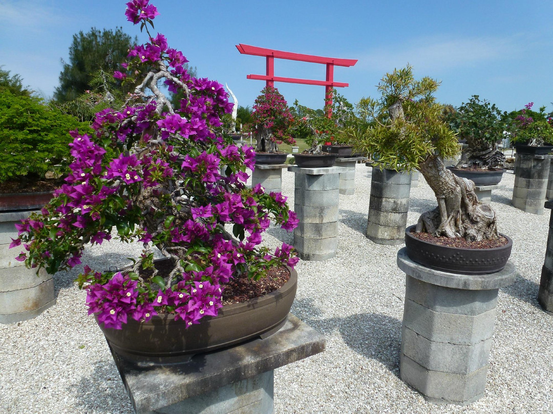 Wigert's Bonsai-North Fort Myers必去景点