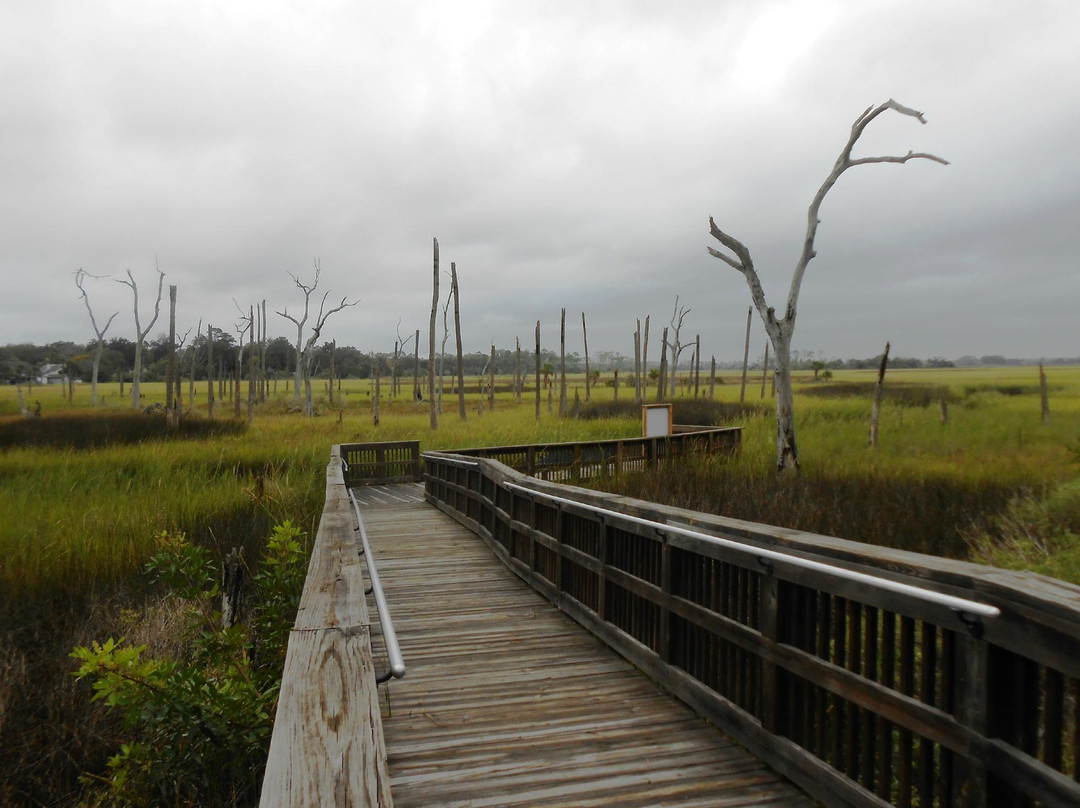 Cradle Creek Preserve景点图片