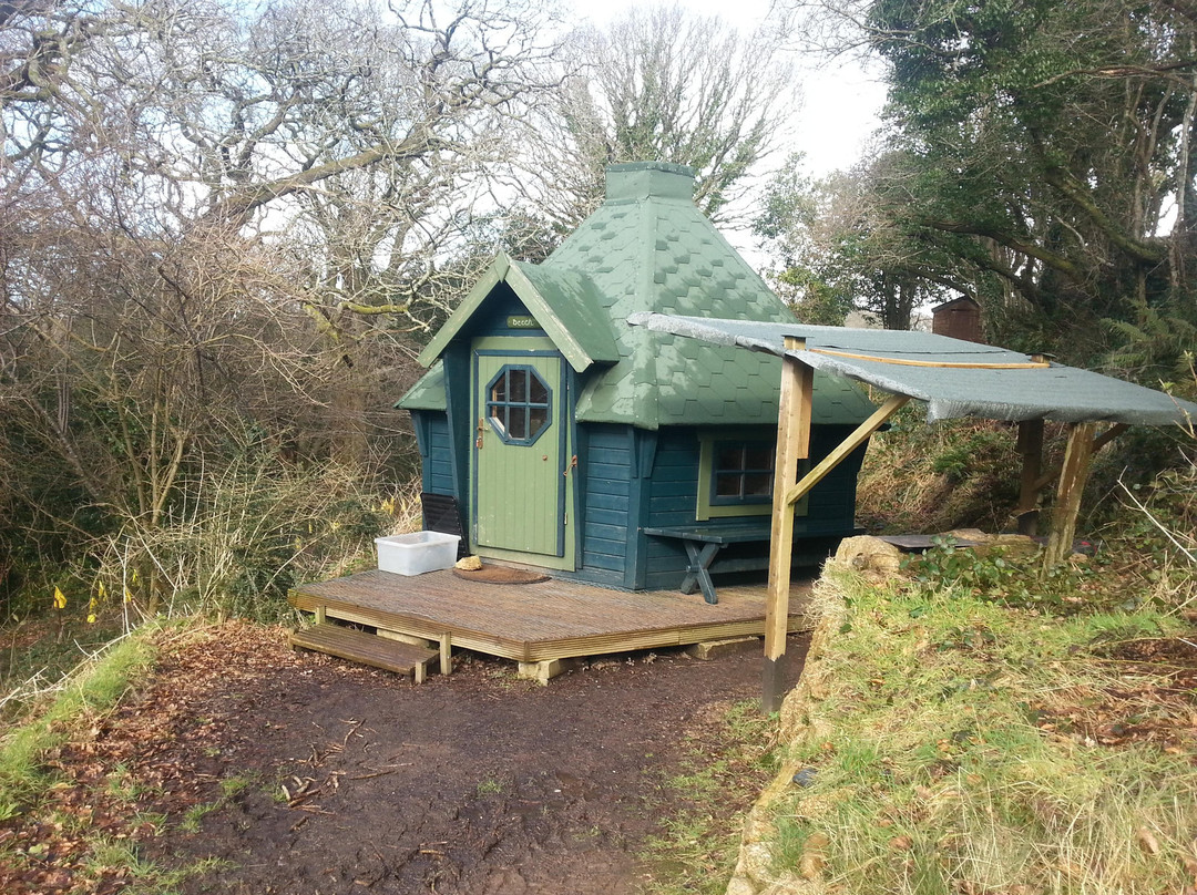 Acorn Camping and Glamping