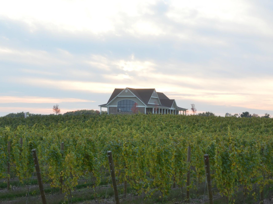 12 Corners Vineyards-Benton Harbor必去景点