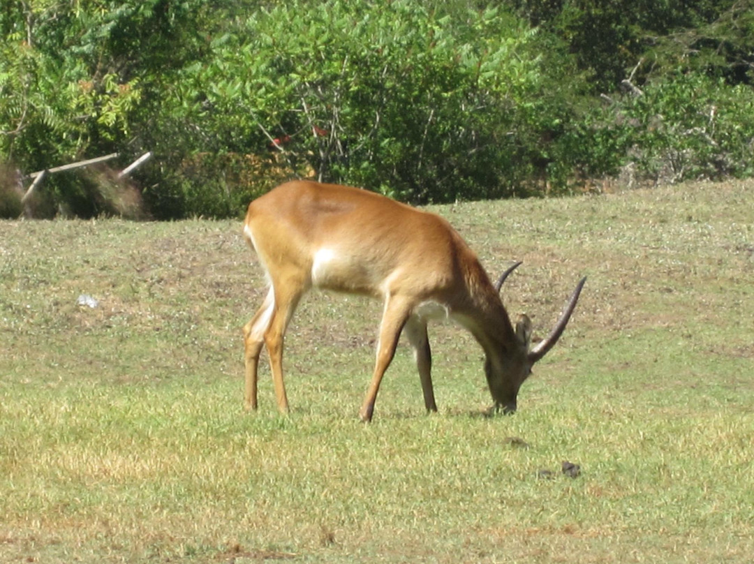 Zoo de Bordeaux Pessac-Pessac必去景点