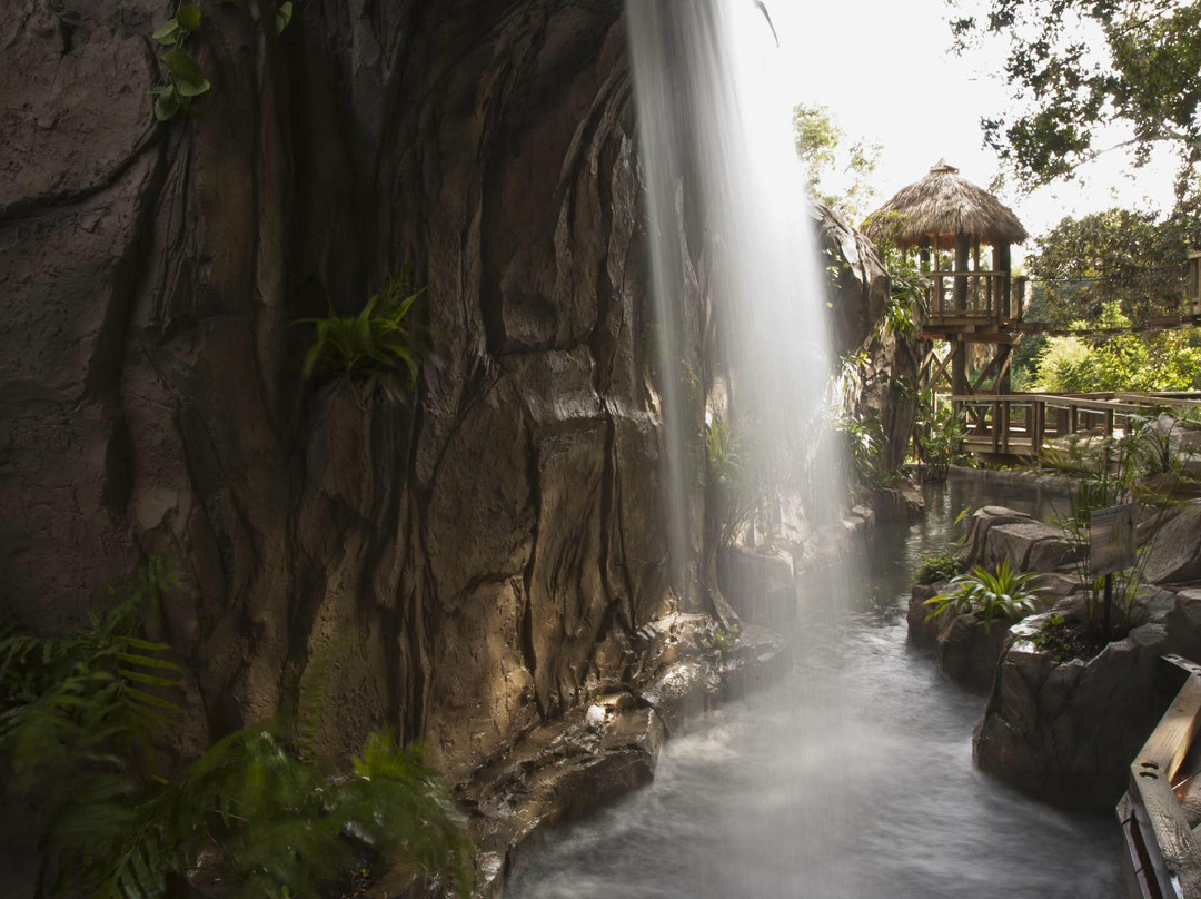 萨拉索塔旅游攻略图片