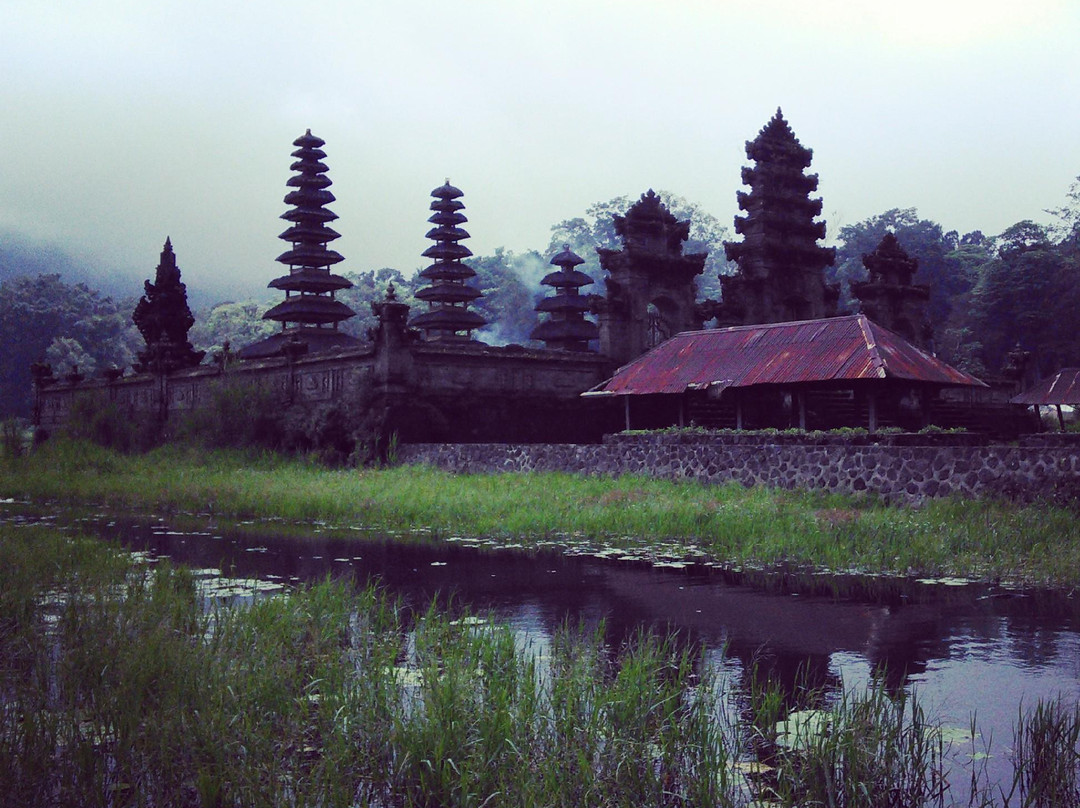 Munduk Wilderness - Day Tours-登巴萨必去景点