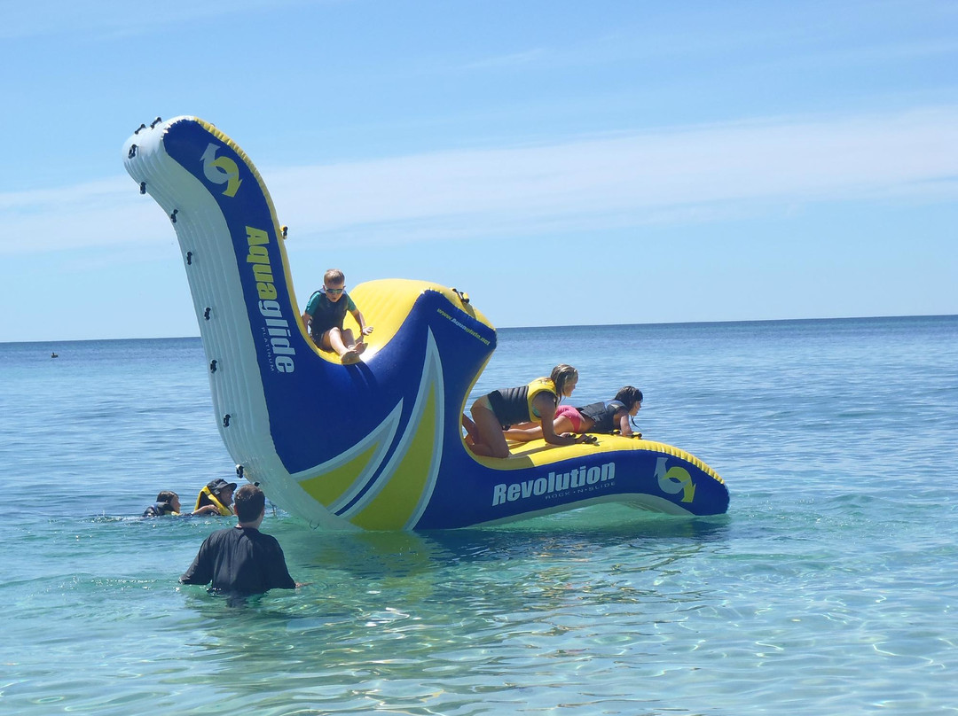 Vasse旅游景点-Climbtastic