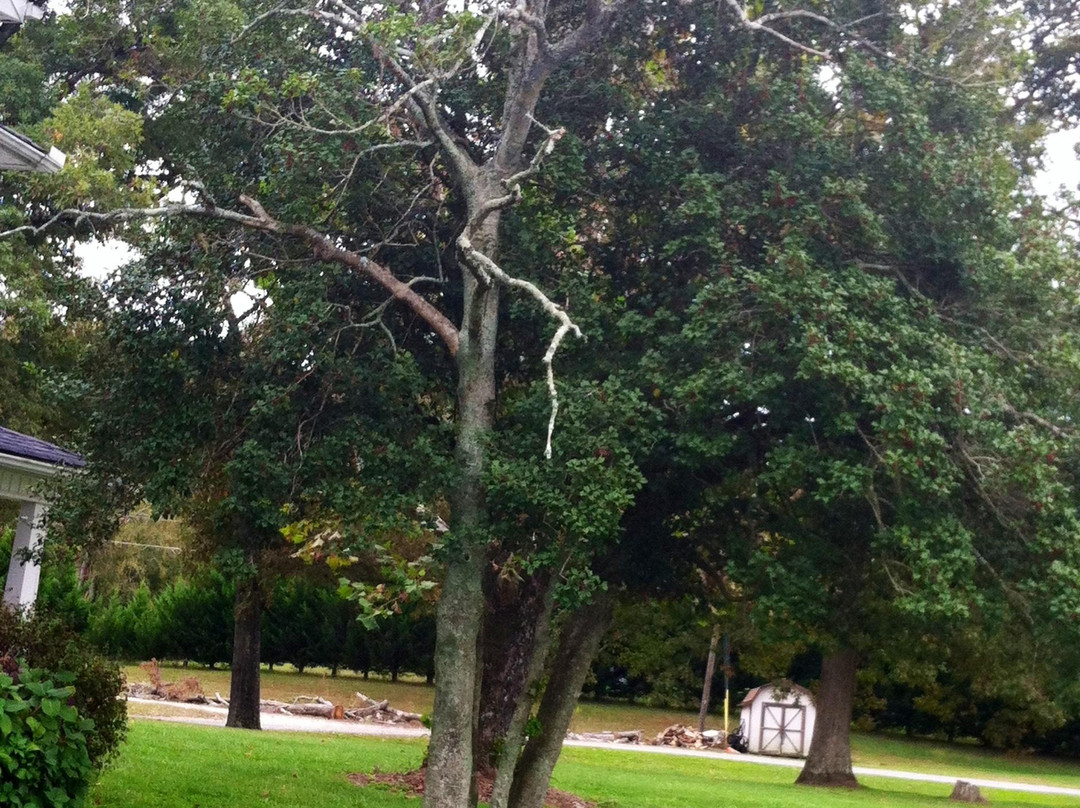 Mayberry Campground