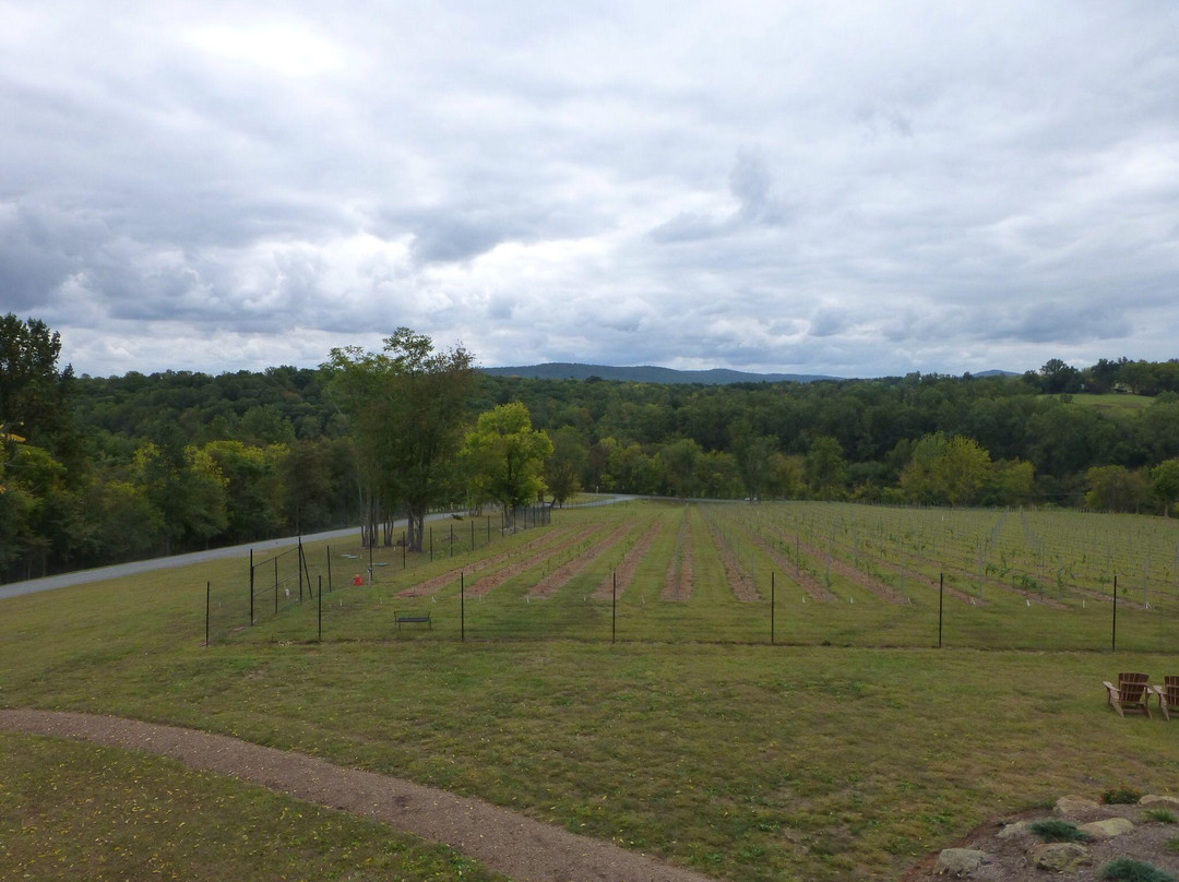 Cana Vineyards and Winery景点图片