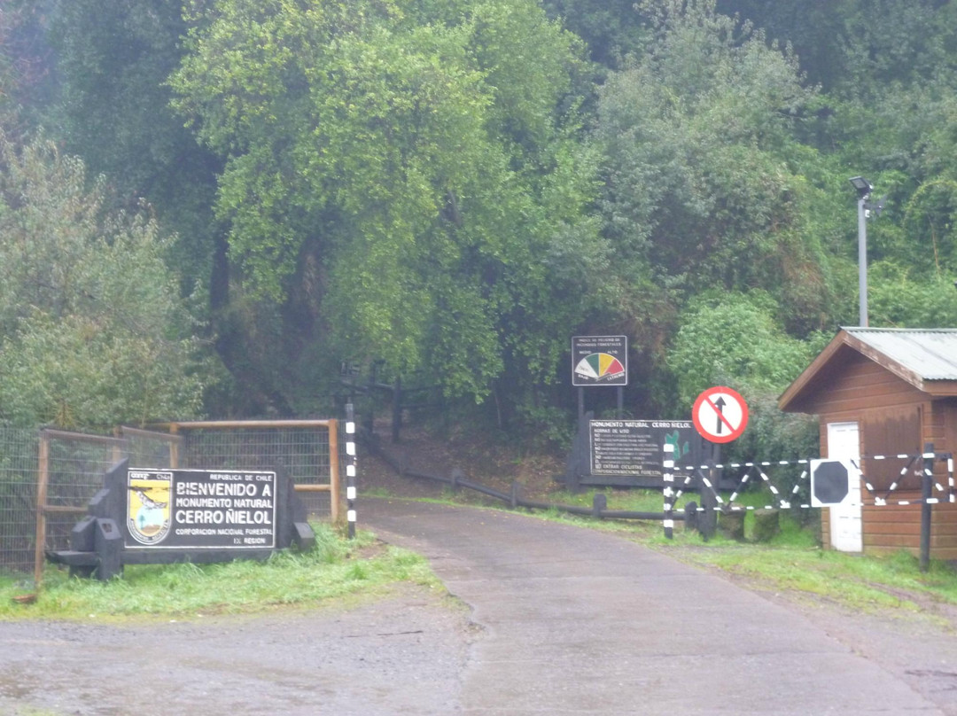 Monumento Natural Cerro Ñielol-特木科必去景点