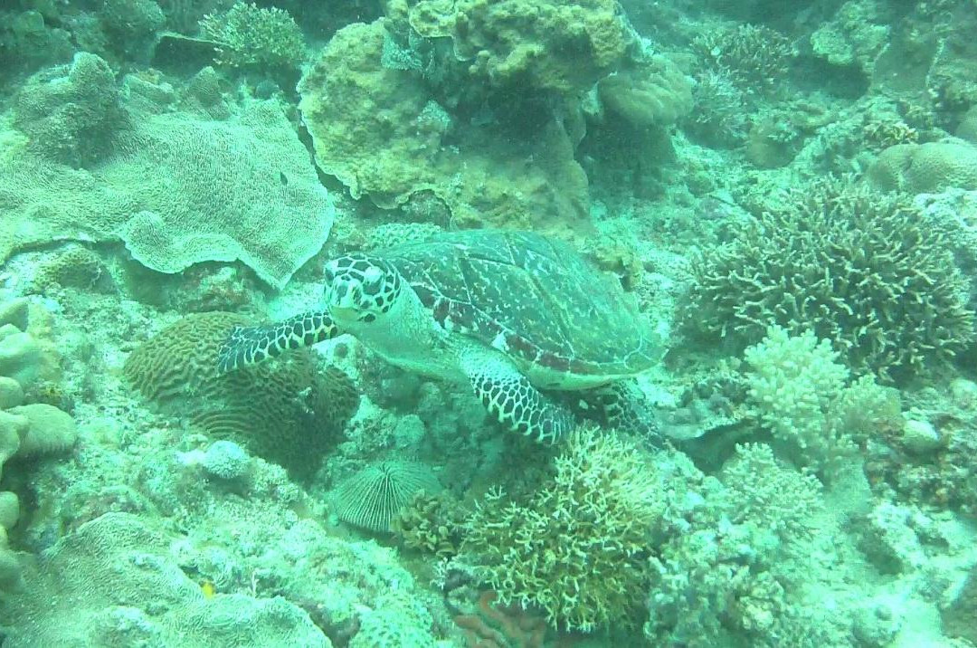 Boracay Island Divers-长滩岛必去景点