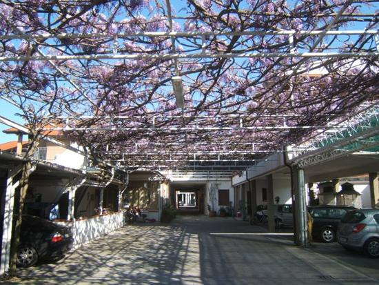 安德烈德日酒店