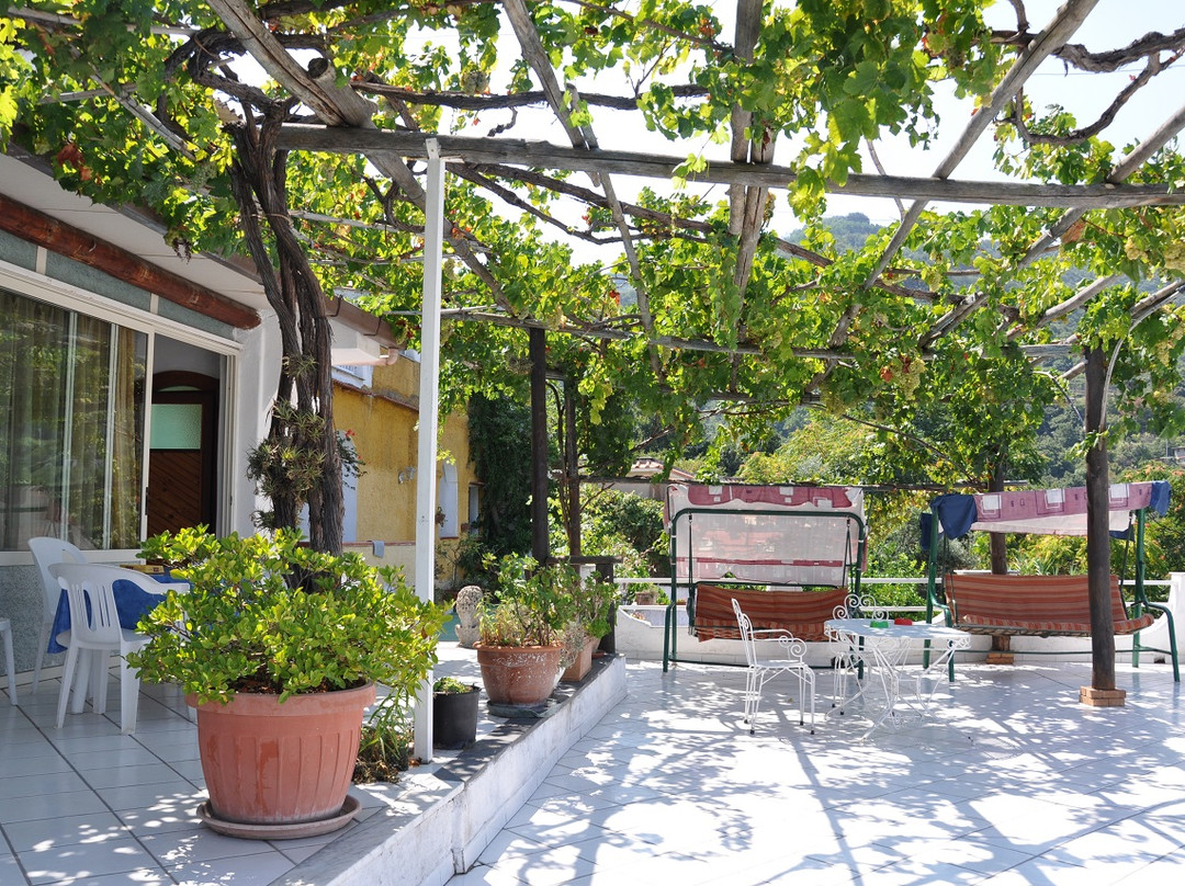 Hotel Parco Osiride主图