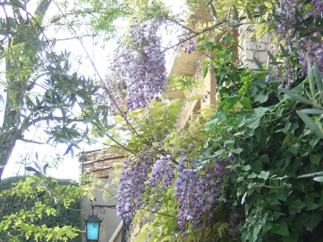 Hotel Font de Lauro主图