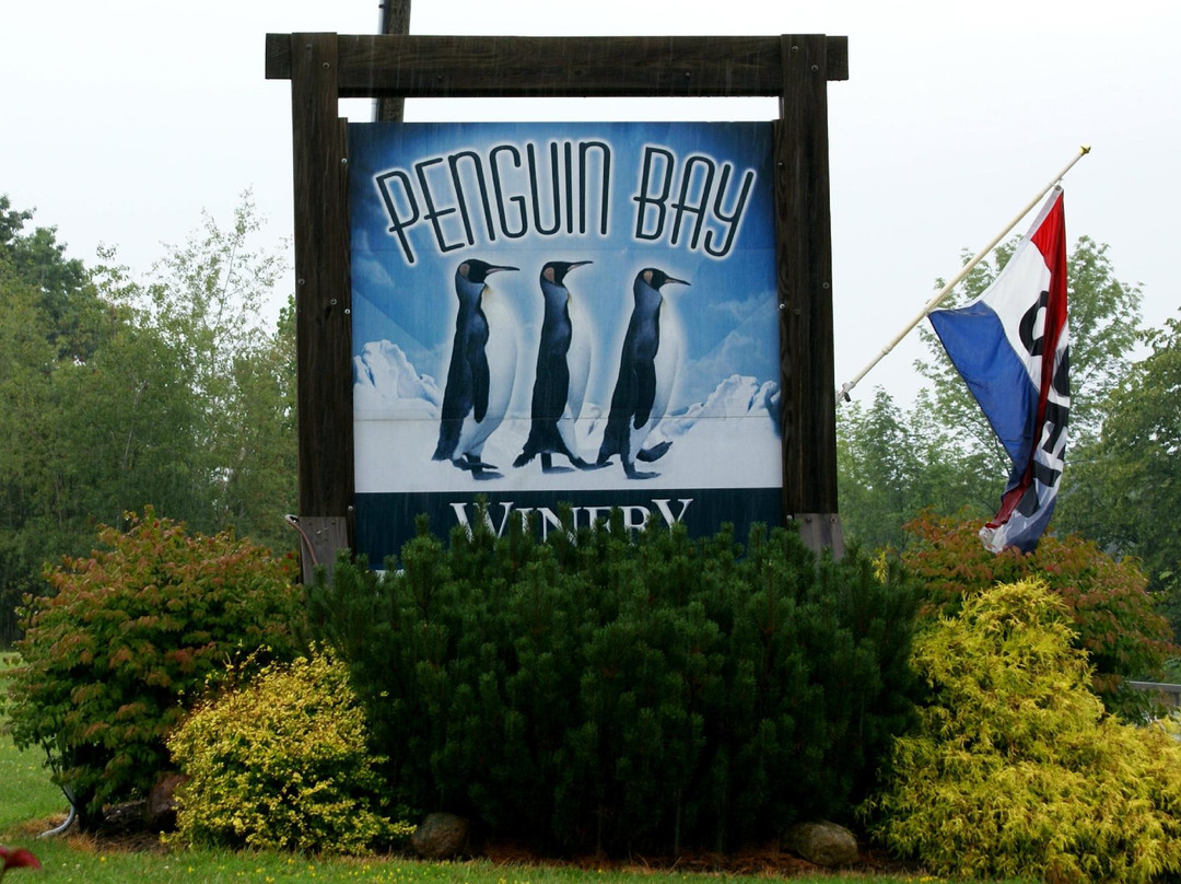 Penguin Bay Winery景点图片