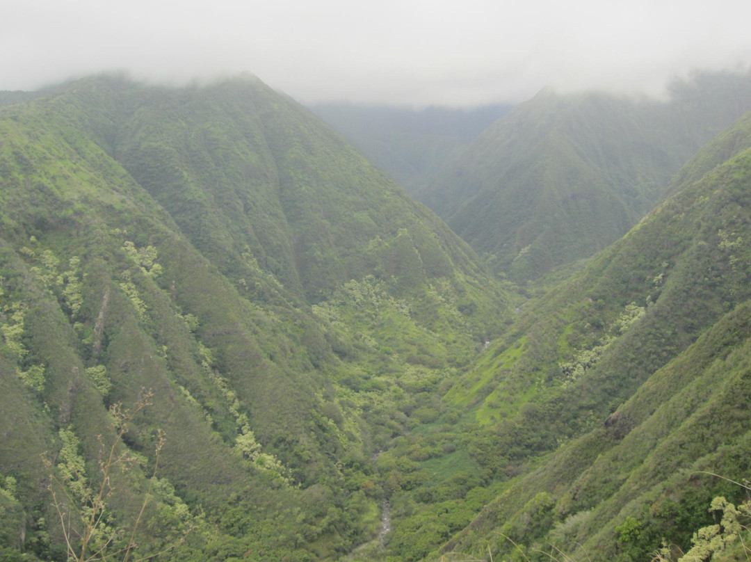 Waihee Canyon-毛伊岛必去景点