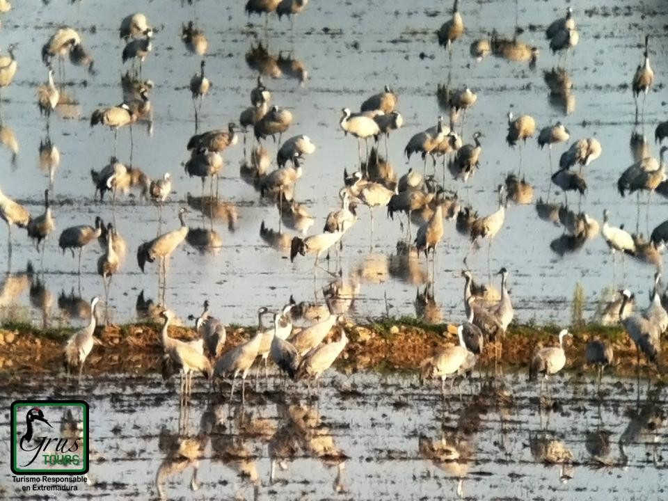 Grus Tours - Private Tours-Logrosan必去景点