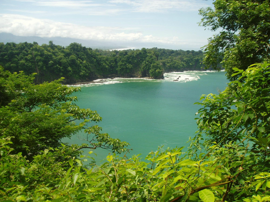 Playa Manuel Antonio景点图片