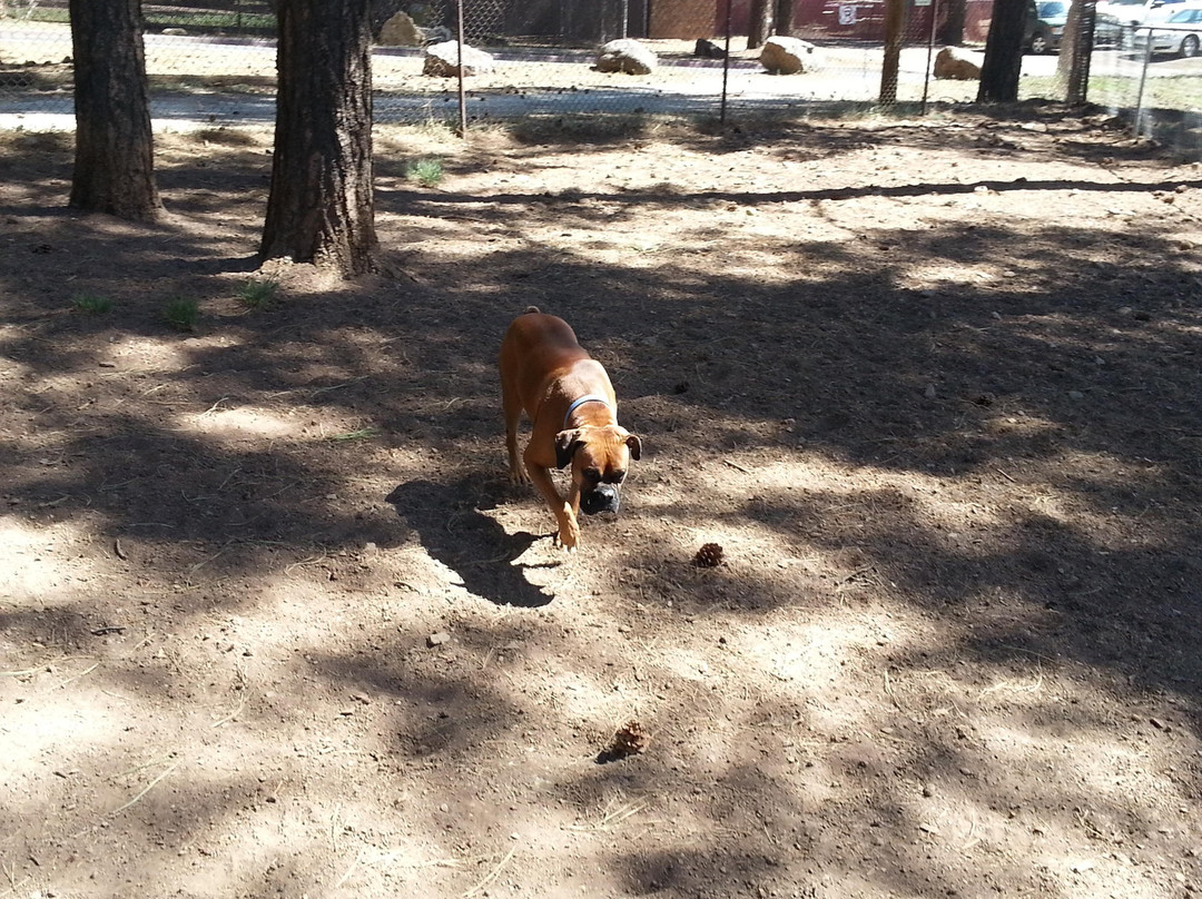 Thorpe Park-弗拉格斯塔夫必去景点