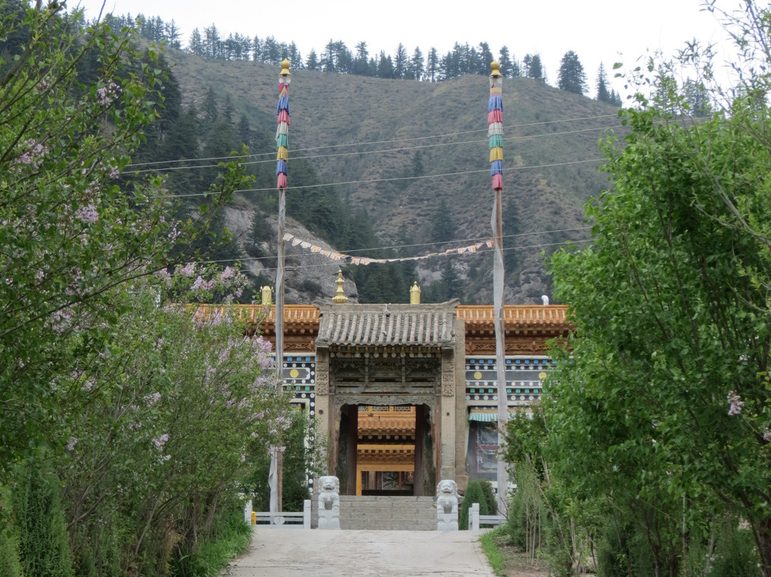 互助北山国家森林地质公园景点图片