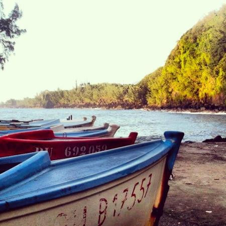 Anse Des Cascades景点图片