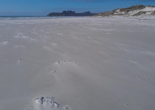 Sand Safaris Cape Reinga 90 Mile Beach Tours-凯塔亚必去景点