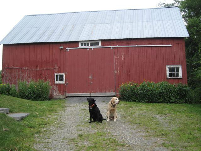 Mill Village Road B&B主图