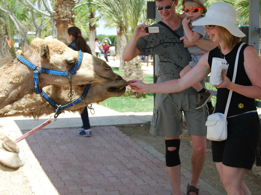 Camel Park-玛佐托斯必去景点