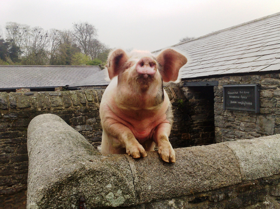 Lusk旅游景点-Newbridge House & Farm