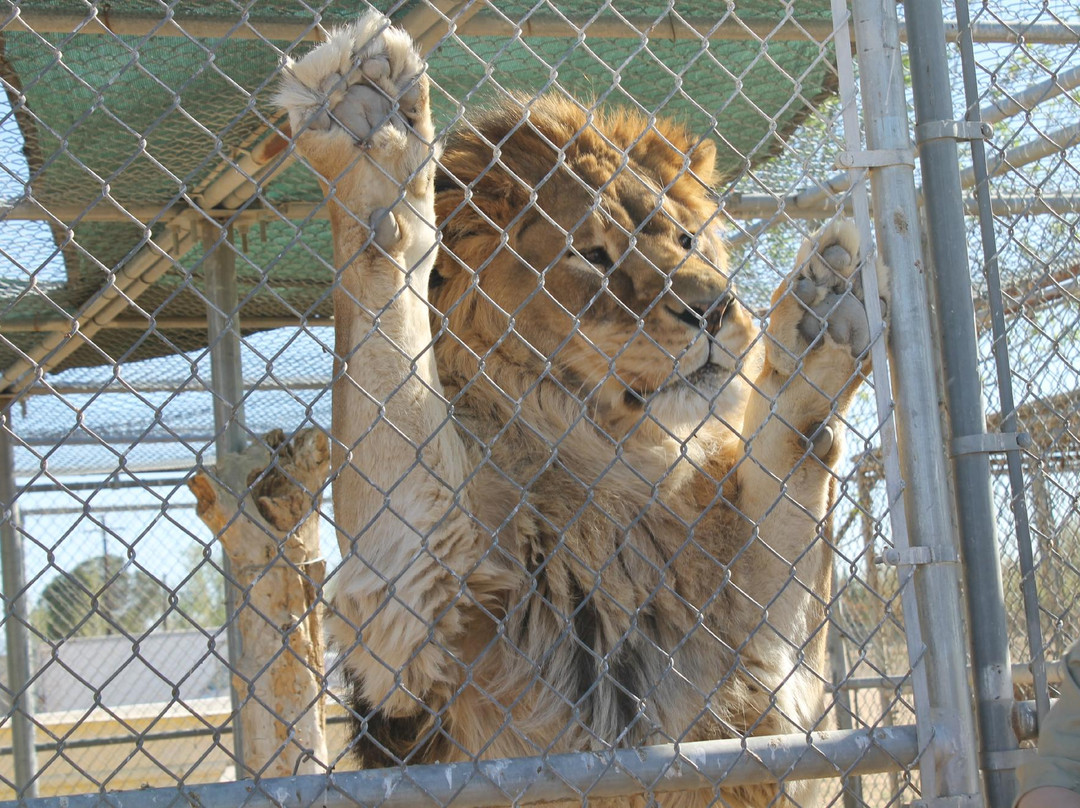 Hesperia Zoo-希斯皮里亚必去景点