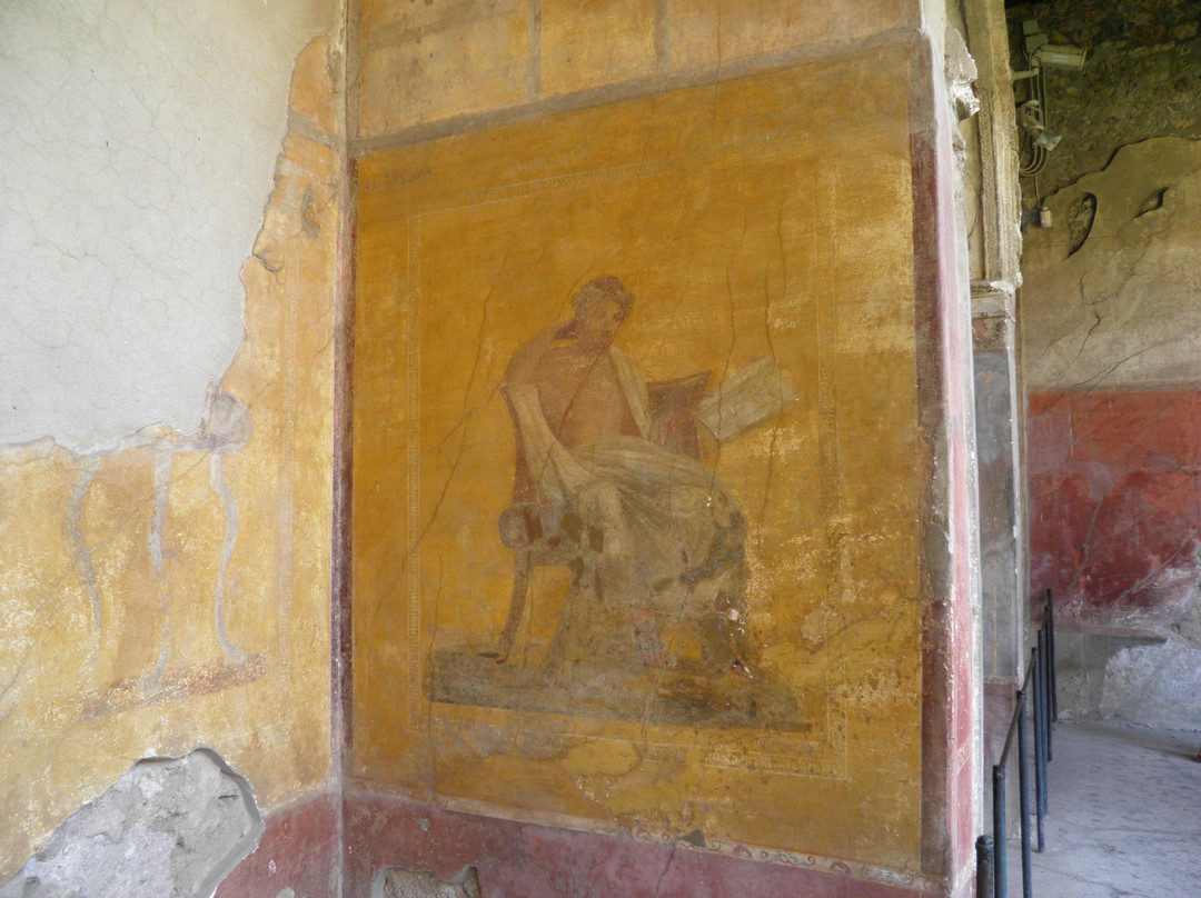 Casa del Menandro景点图片