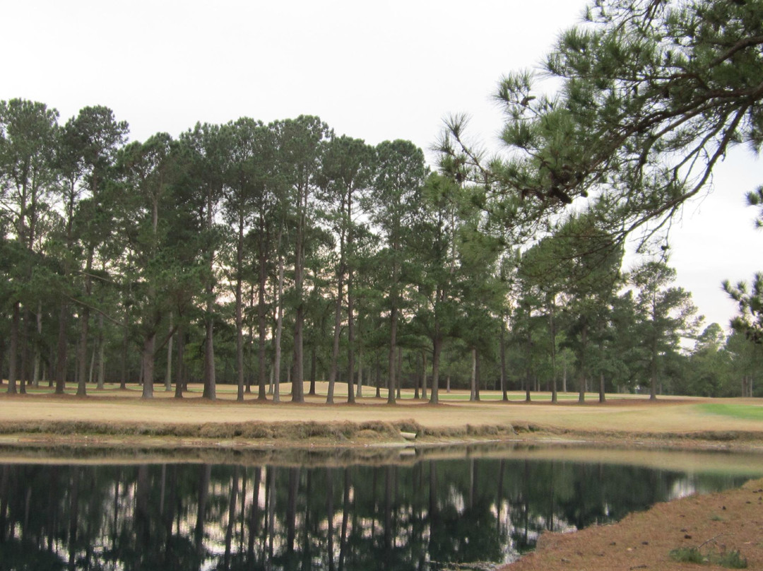 Lake Marion Golf Course景点图片