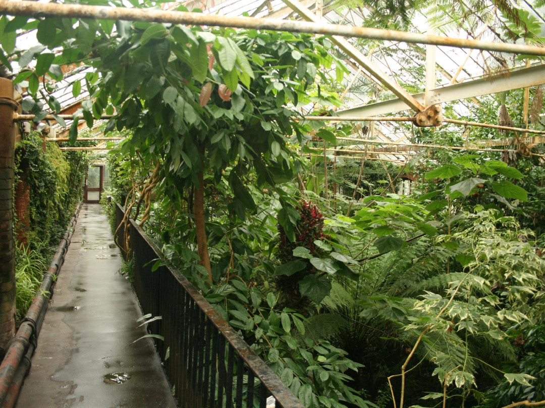 The Tropical Ravine House-贝尔法斯特必去景点
