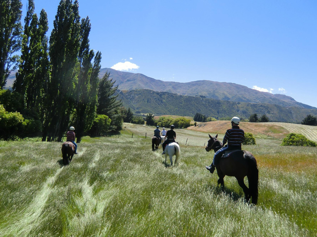 月光马厩-皇后镇必去景点