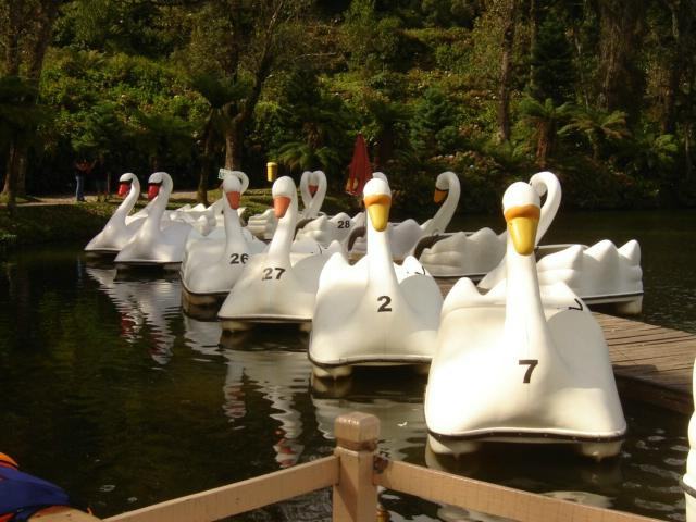 Lago Negro-格拉玛多必去景点