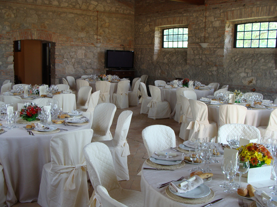 Agriturismo Terre di Musignano主图