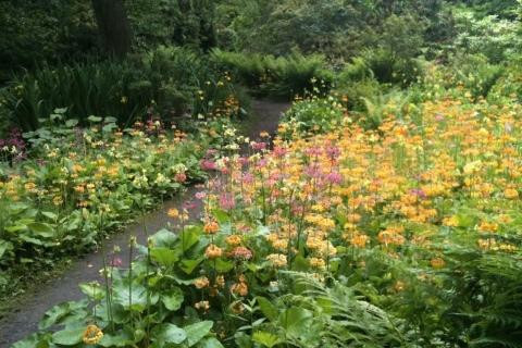 Durham University Botanic Garden-达勒姆必去景点