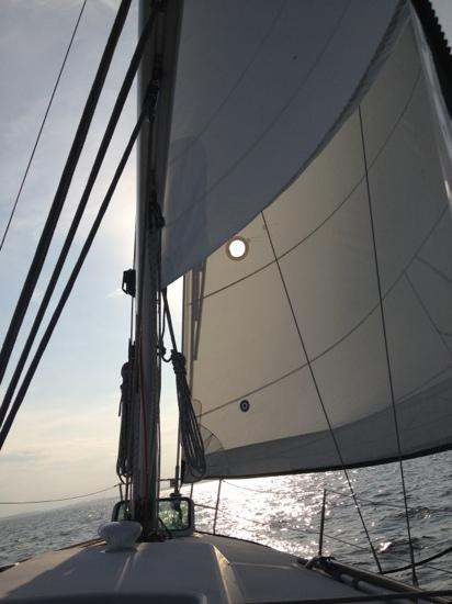 Port Sailing School景点图片