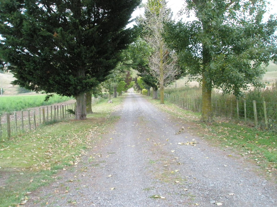 Grandvue Country Stay主图