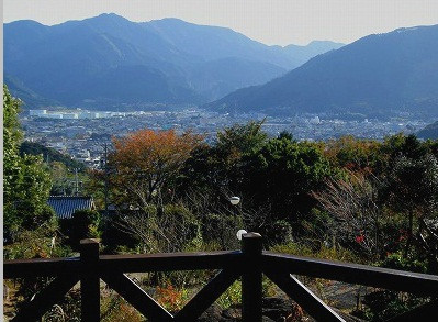 Cottage Woodpeck主图