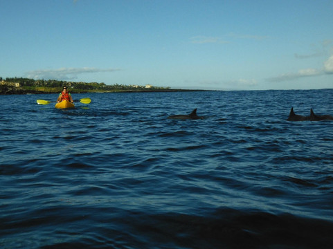 Hawaiian Paddle Sports-拉海纳必去景点