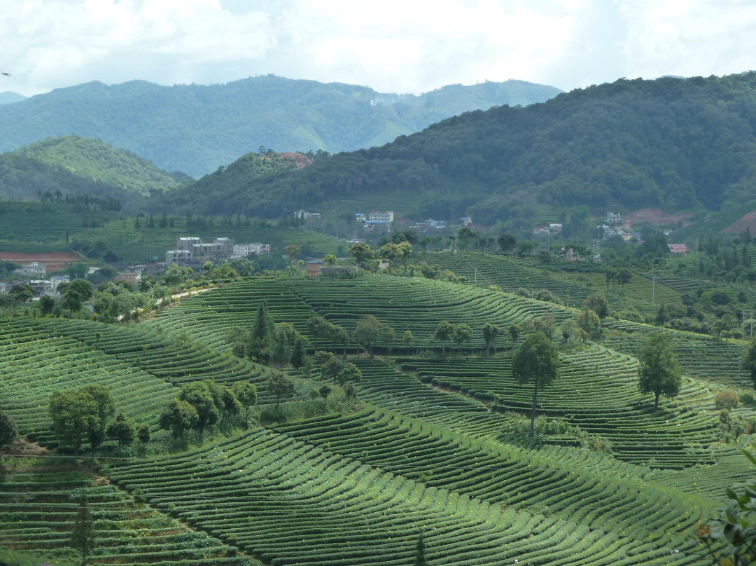 圣安迪大酒店主图