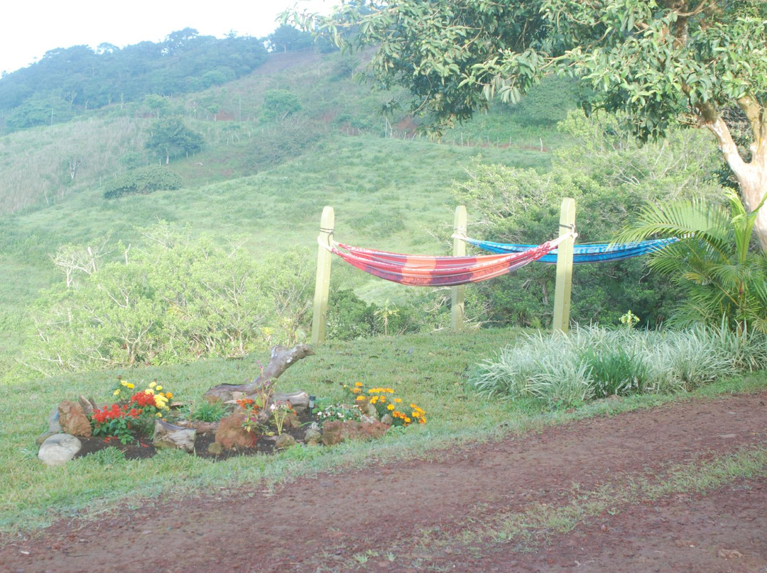 Angel Valley Bed and Breakfast主图