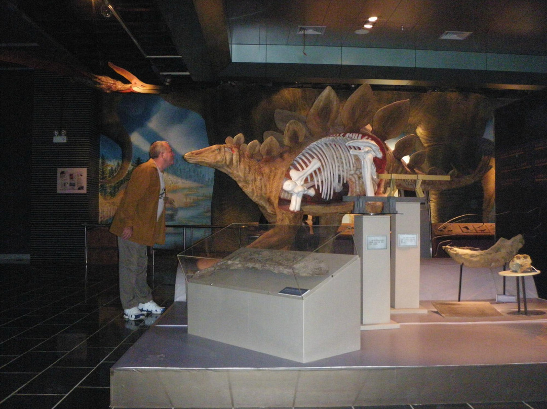 昆明动物博物馆-昆明市必去景点