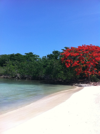 Half Moon Beach-内格里尔必去景点